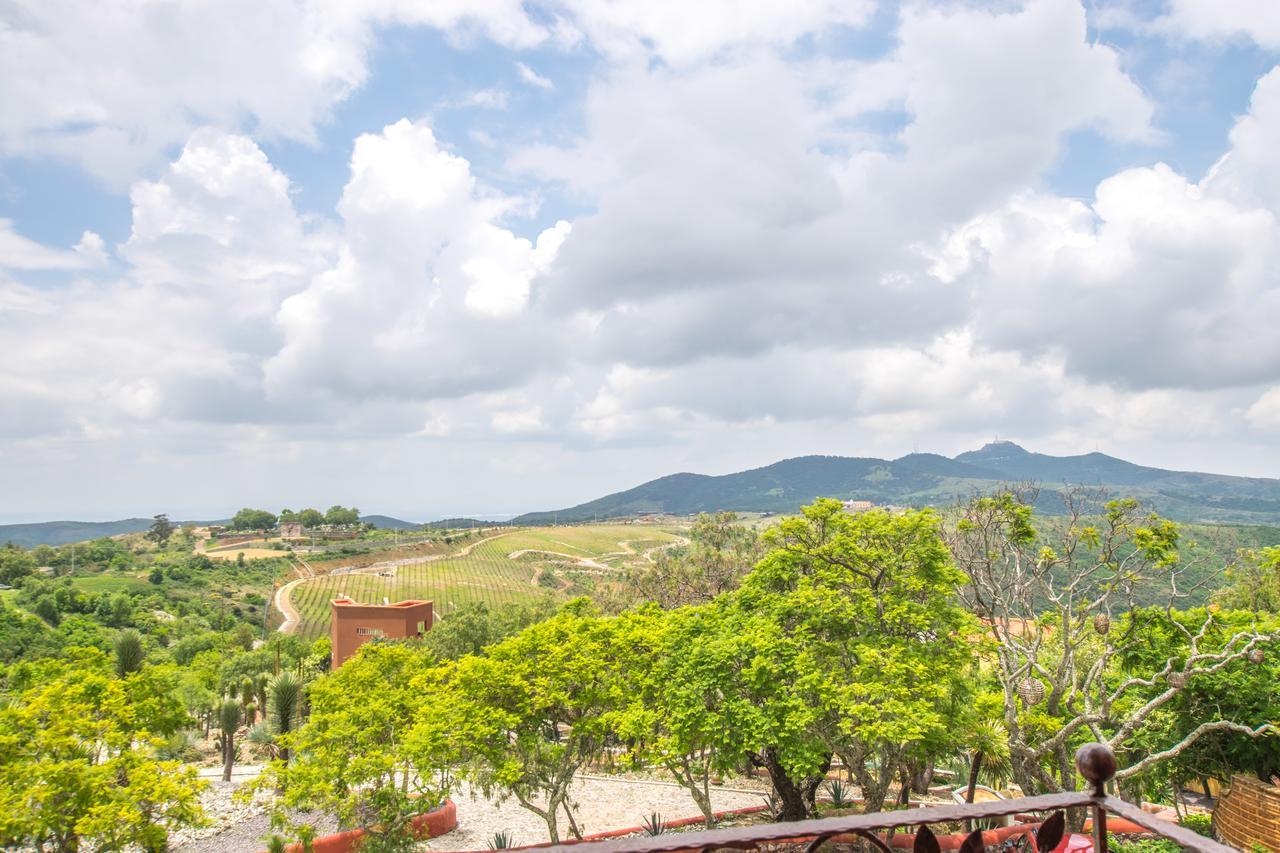 Hotel Camino De Vinos Guanajuato Eksteriør billede