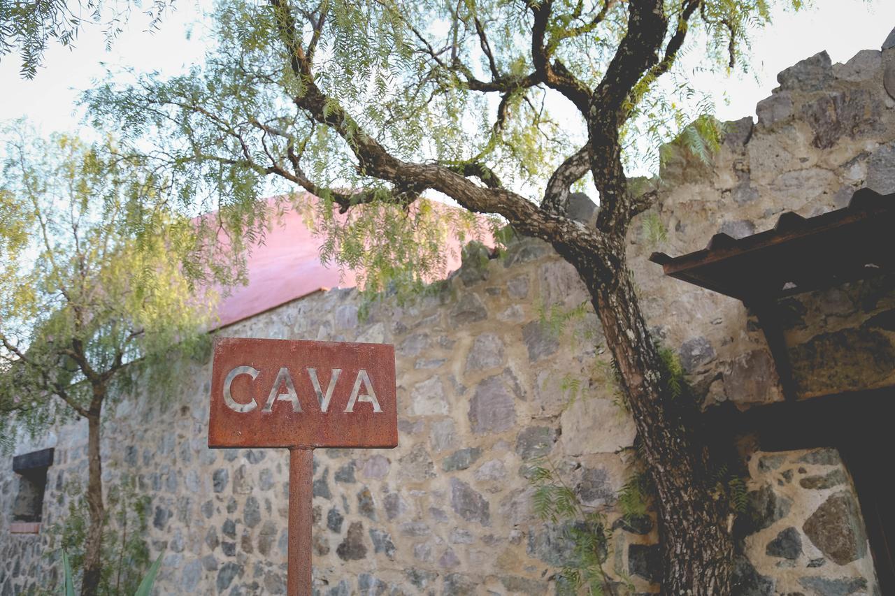 Hotel Camino De Vinos Guanajuato Eksteriør billede